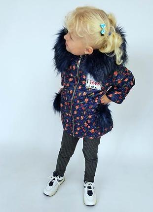 Куртка,курточка