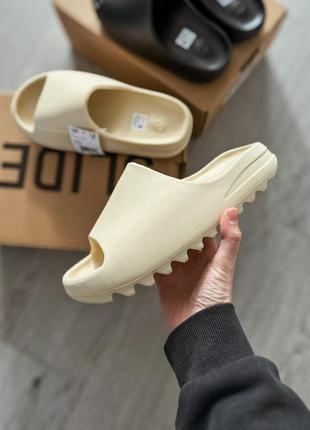 Трендовые женские и мужские шлёпанцы adidas yeezy slide bone бежевые1 фото
