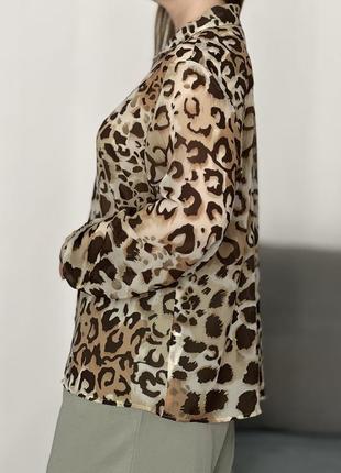 Нежная шифоновая блуза рубашка у леопардовый принт No24max9 фото