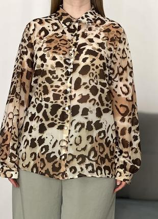 Нежная шифоновая блуза рубашка у леопардовый принт No24max7 фото