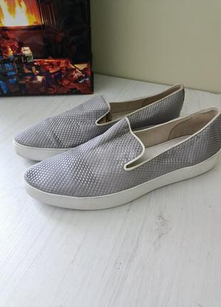 Сліпони vagabond