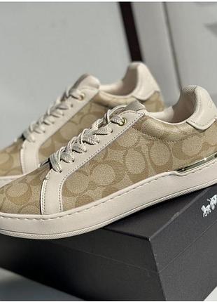 Кеди coach 😊