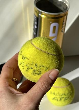 Теннисные мячи head atp2 фото