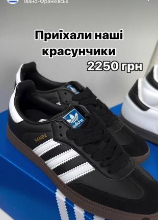 Кеды кожаные кроссовки женские adidas samba black6 фото