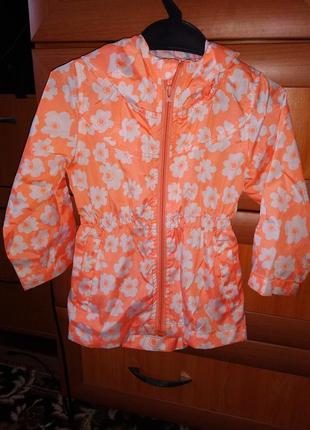Ветровка,парка,дождевик