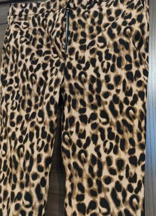 Леопардовые укороченные брюки mango3 фото