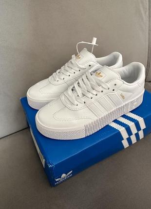 Жіночі білі кросівки adidas samba