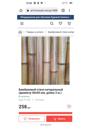 Стволы бамбука дешево4 фото