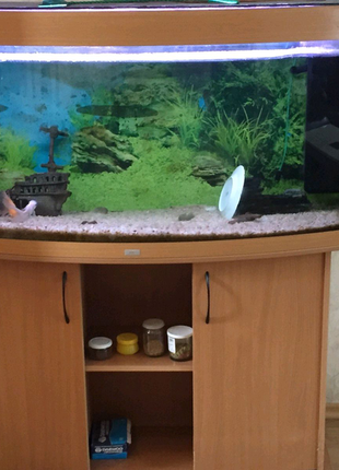 Продам акваріум