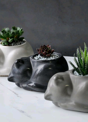 Сірий котик з мохом (кашпо, вазон для квітів, сукулентів)2 фото