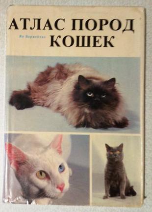 Атлас пород кошек