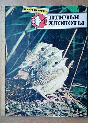«птичьи хлопоты» фотокнижка