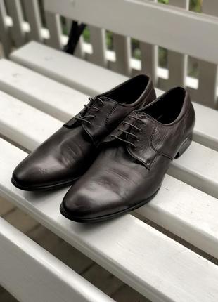 Коричневые мужские  кожаные туфли calipso