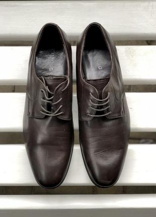 Коричневые мужские  кожаные туфли calipso3 фото