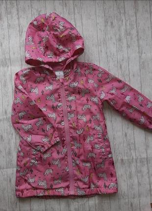 Ветровка, куртка детская