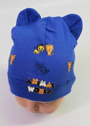 Детская демисезонная шапка для малышей 40-42см синий, серый