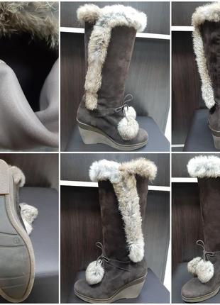 Сапиги італія