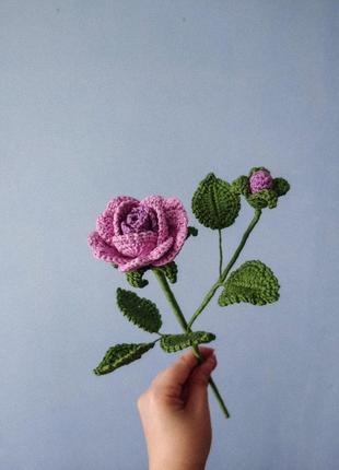 Роза с почками. цветы. букеты3 фото