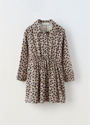 Плаття zara