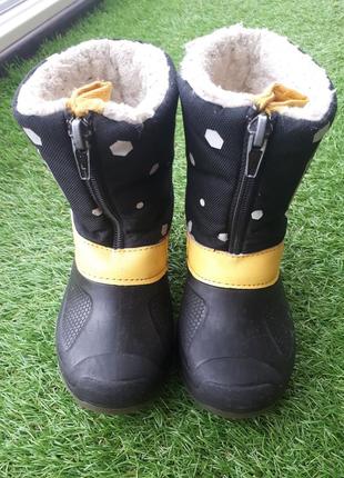 Чоботи зимові