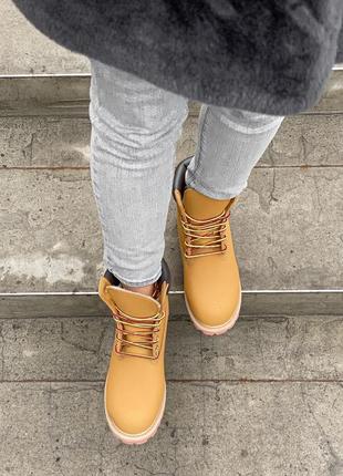 Женские ботинки timberland classic termo3 фото