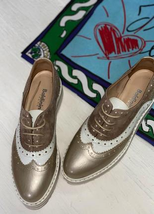 Броги baldinini