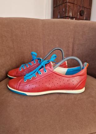 Ecco жіночі кеди