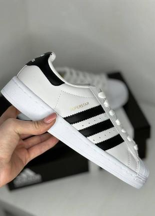 Кроссовки team adidas superstar10 фото
