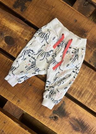 Детские штаны (брюки) с принтом marks&spencer (маркс и спенсер 3-6 мес 62-68 см идеал оригинал разноцветные)