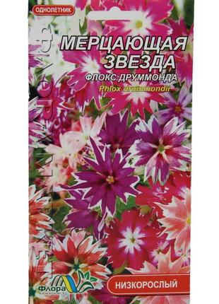 Насіння флокс друммонда мерехтлива зірка суміш різні кольори однорічник низькорослий 0.1 г1 фото