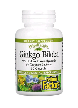 Ginkgo biloba, гінкго білоба 60 капсул