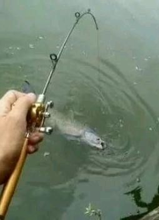 Удочка складная с катушкой и леской, телескопическая, fishing rod5 фото