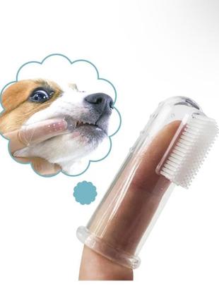 Зубная щетка для собак и кошек