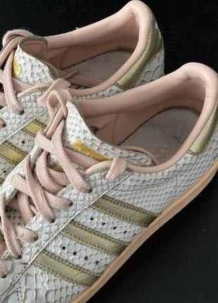 Adidas superstar limited edition lilou8 фото