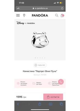 Pandora x disney ( the winnie pooh) вінні пух