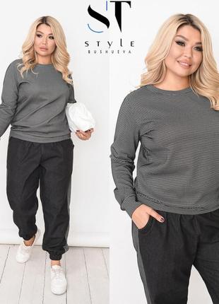 Костюм розмір 48/52,54/58,60/64 штани джинс, світшот — трикотаж