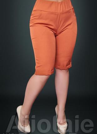 Шорти костюмка версаче з 50 по 56 розміри кольори на фото