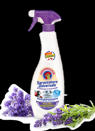 Універсальний чистячий засіб chante clair lavanda 625 мл