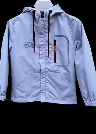 Вітровка the north face р8-15 років