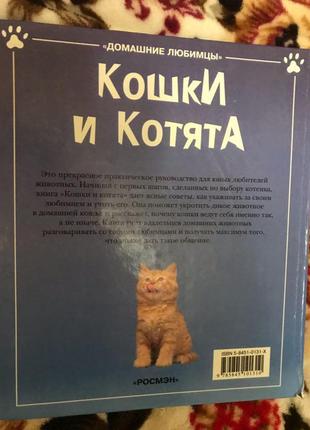 Кішки й кошенята3 фото