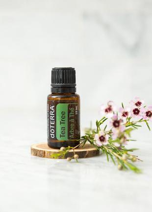 Чайне дерево / tea tree essential oil? ефірне масло, 15 мл