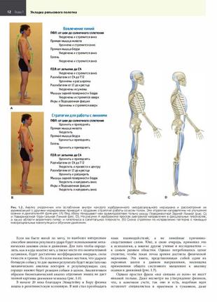 Анатомічні потяги 4 видання anatomy trains томас маєрс3 фото
