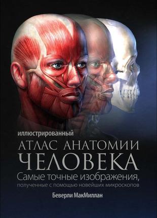Ілюстрований атлас анатомії людини. драбина макміллан