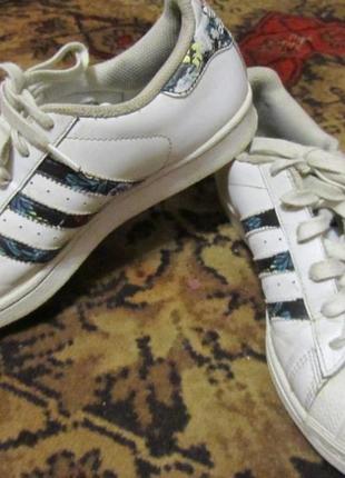 Кросівки білі адідас adidas superstar