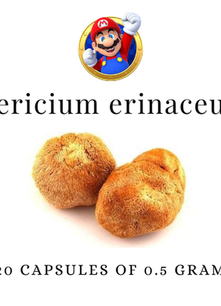 Герициум гребінчастий. hericium erinaceus.120капсул х 0.5 г.