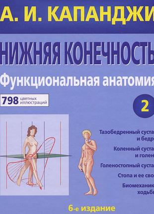 Нижняя конечность: функциональная анатомия. том 2. 6-е издание. а.и. капанджи