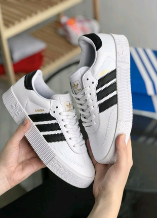 Adidas samba white black (білі)