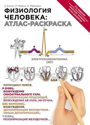 Фізіологія людини: атлас-розмальовка. медична енциклопедія