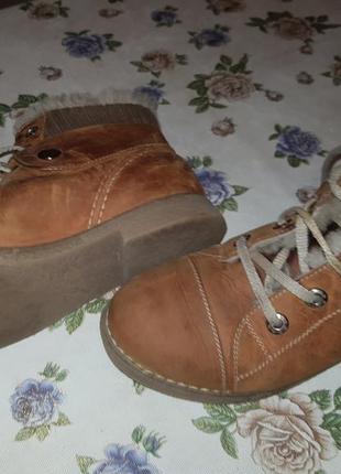 Ботинки зимние на цегейке, 36 размер2 фото