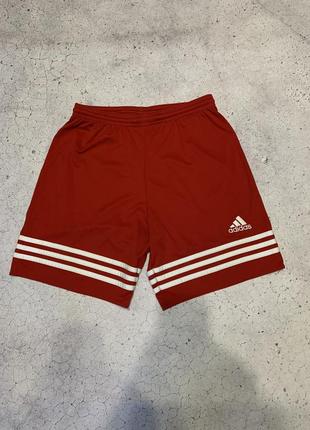 Шорты adidas